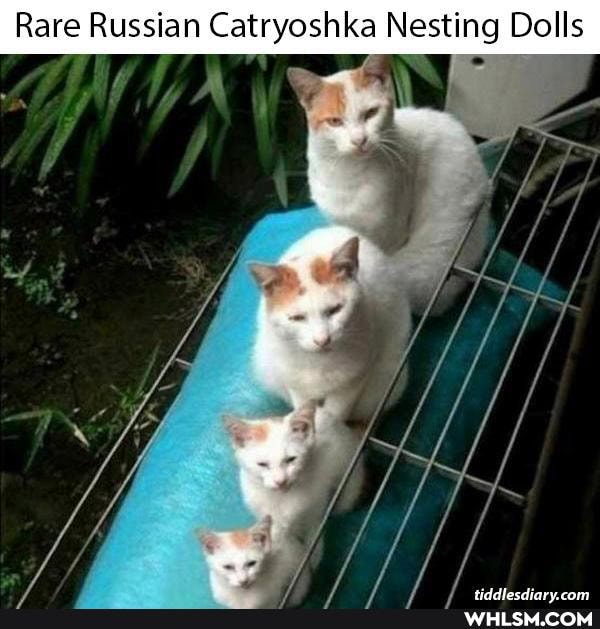 Rare Russian Catryoshka Nesting Dolls
