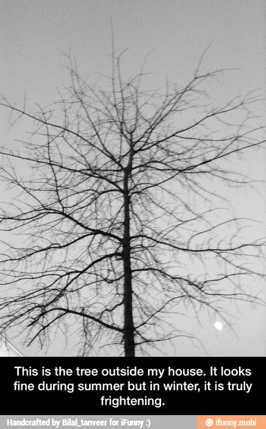 This is the tree outside my house. It looks
fine during summer but in winter, it is truly
Teen - This is the tree outside my house. It looks fine during summer but in winter, it is truly frightening.