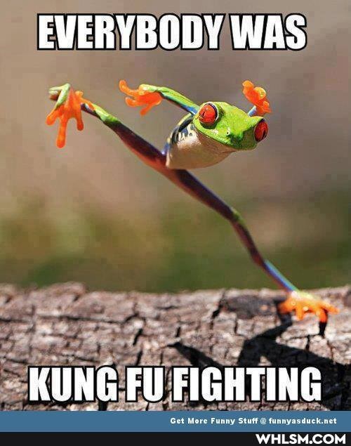 EVERYBODY WAS
KUNG FU FIGHTING