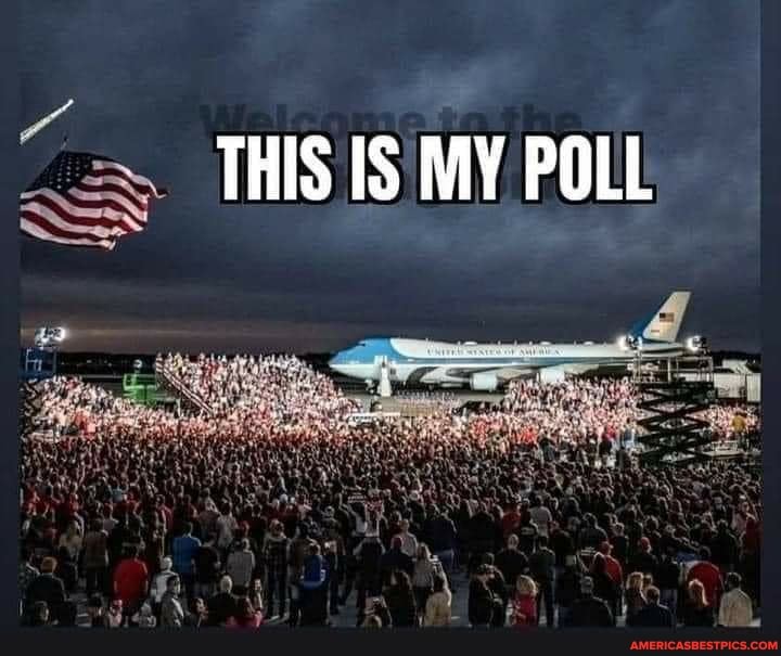 THIS IS MY POLL