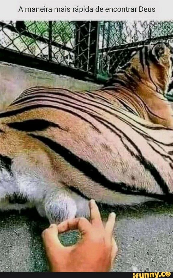 A maneira mais rápida de encontrar Deus