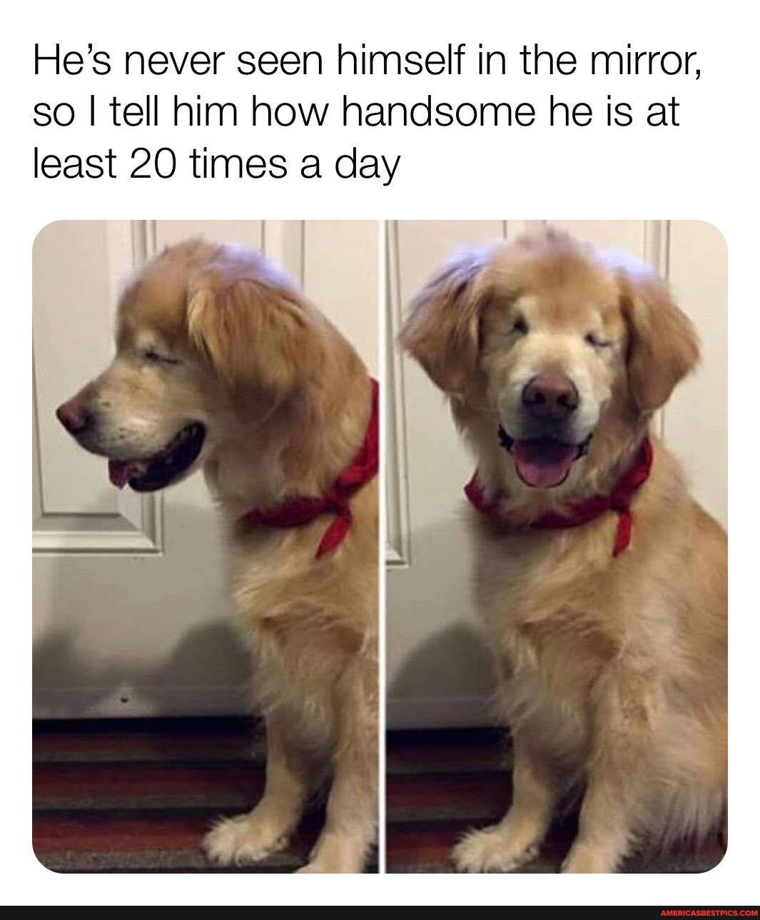 He's never seen himself in the mirror, so I tell him how handsome he is at least 20 times a day