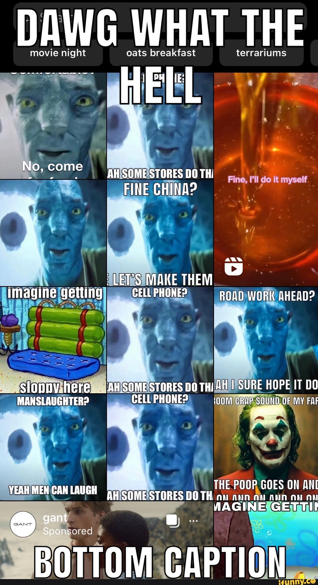 Terrariums memes. Best Collection of funny Terrariums pictures on iFunny