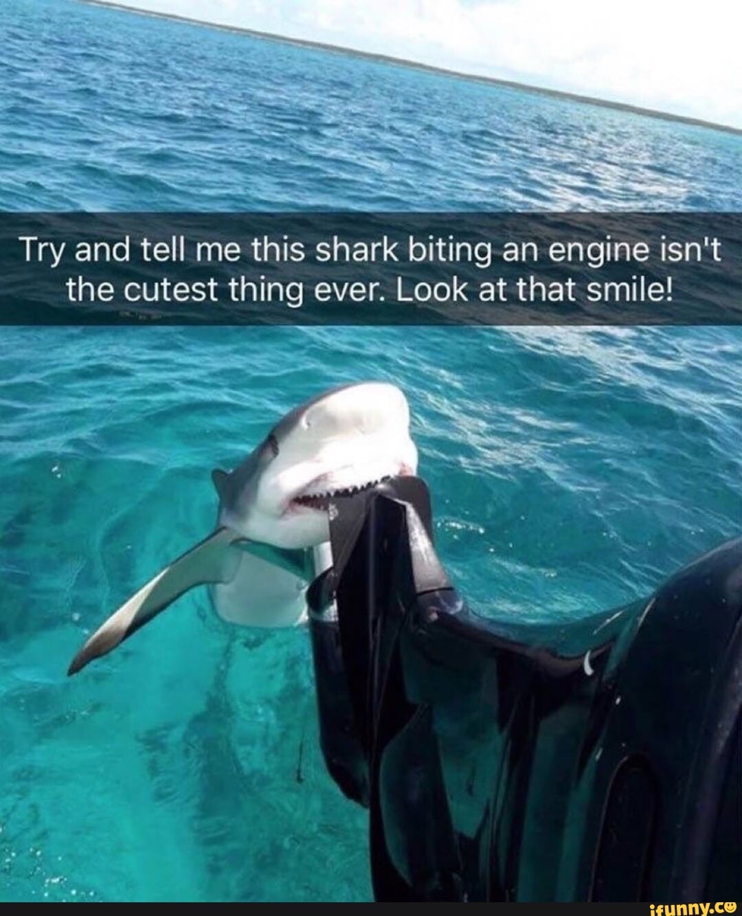 Try and tell me this shark biting an engine isn't