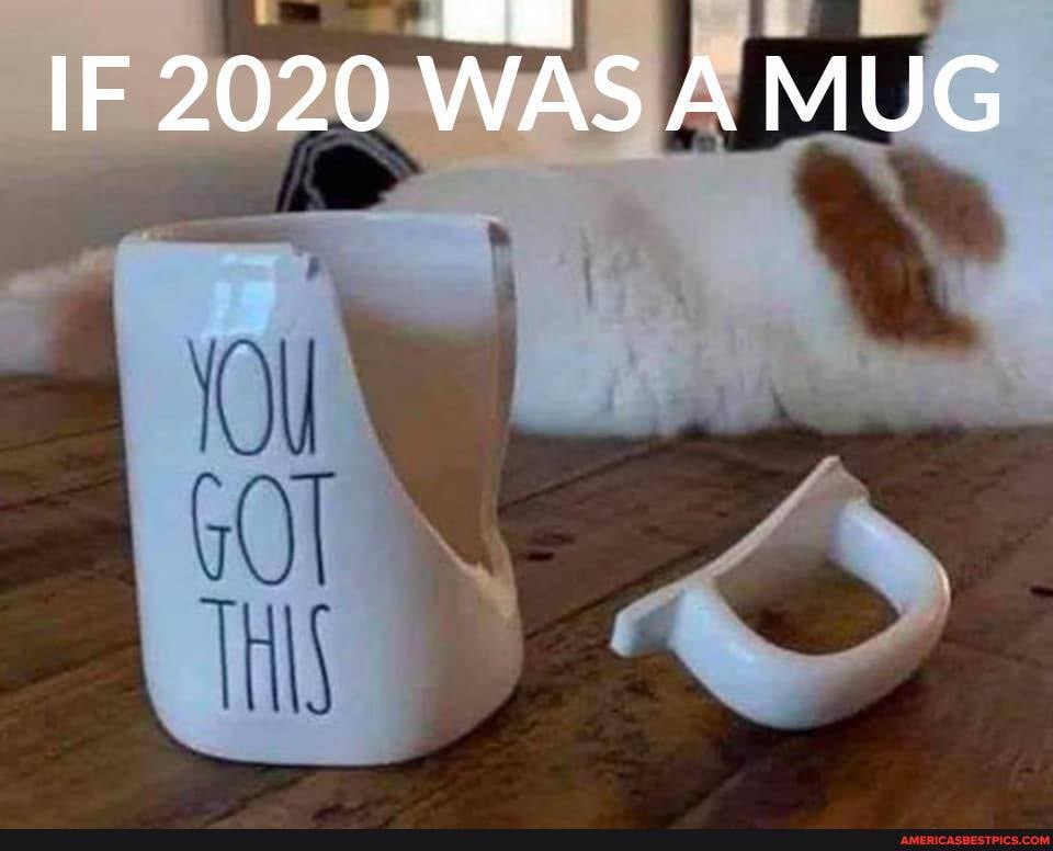 IF 2020 WAS MUG