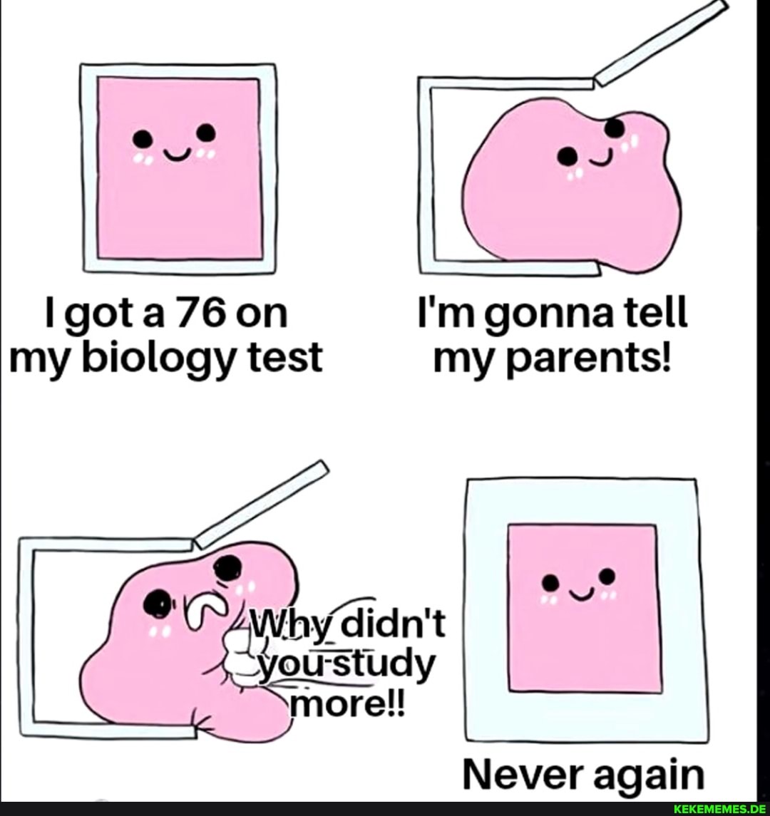 gota on I'm gonna tell my biology test my parents!
Whydidn't
"your ustudy
Never again