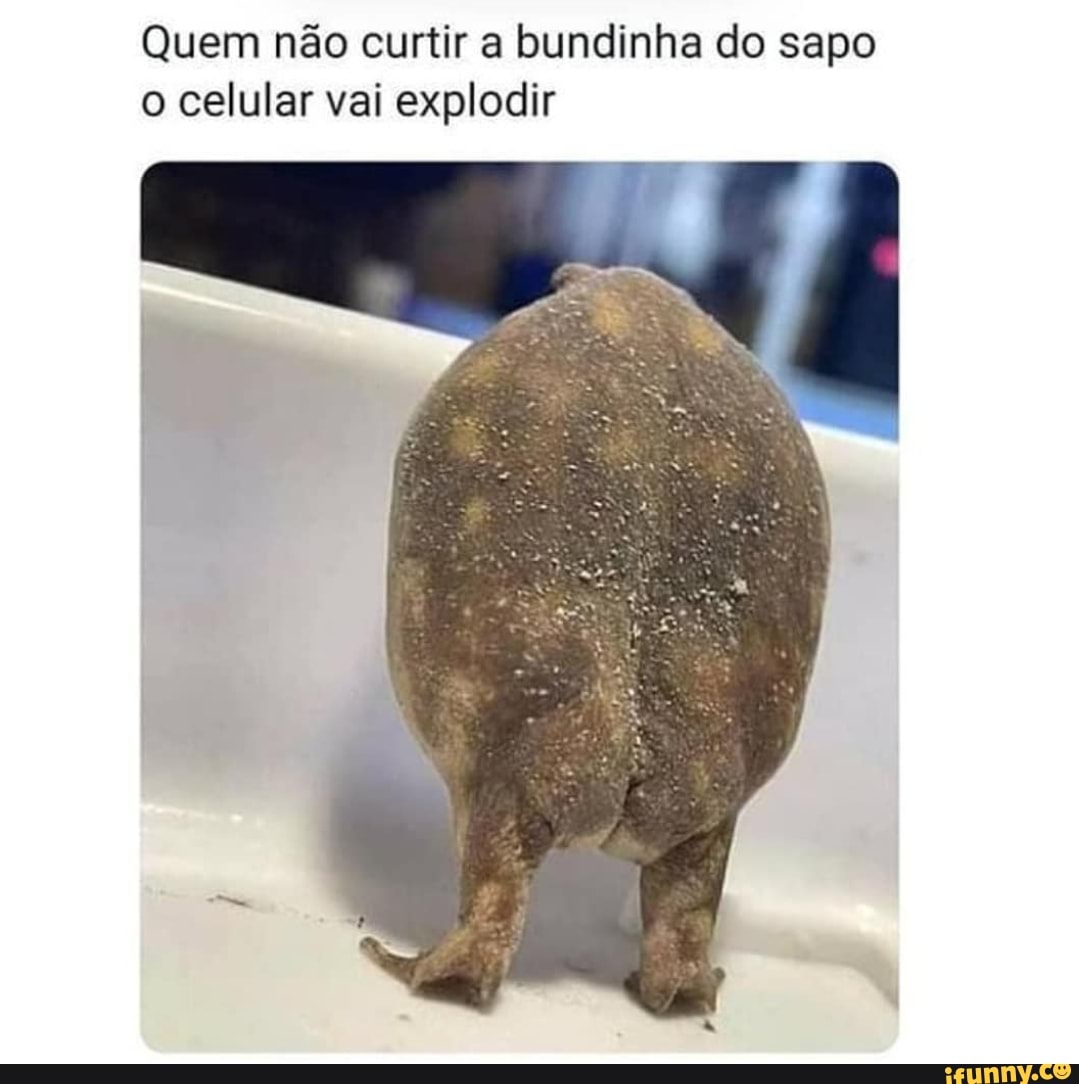 Quem não curtir a bundinha do sapo o celular vai explodir