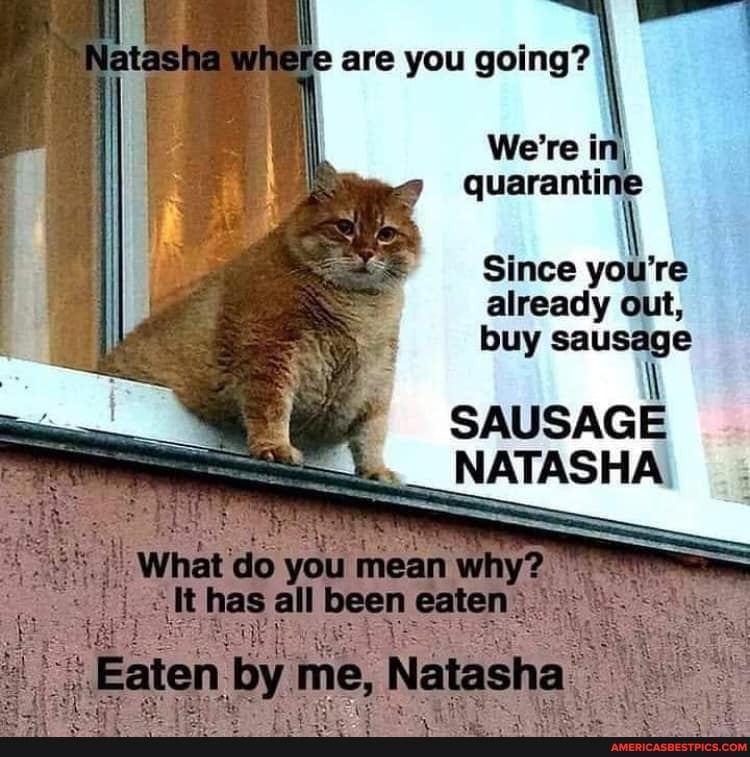 Where are you going?
Weine
Since you're already out, buy sausage
SAUSAGE NATASHA,
What you mean
It has all been eaten
Eaten. by me, I Natasha