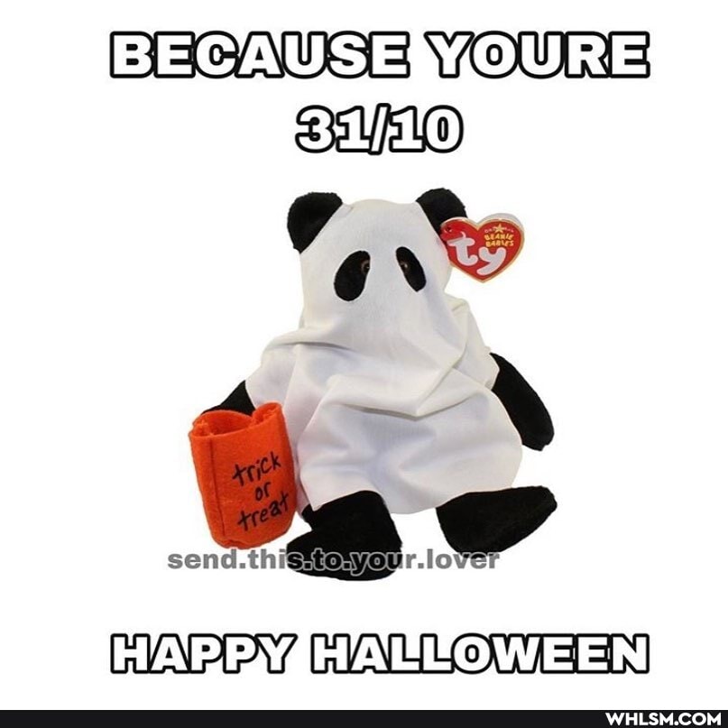 BECAUSENOURE
AS
HAP HALLOWEEN