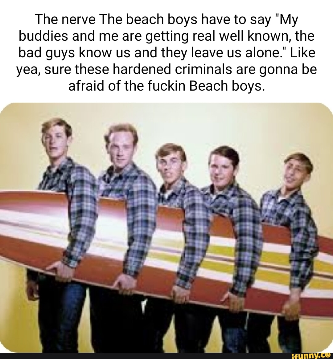 Meme Black Flag dei Beach Boys