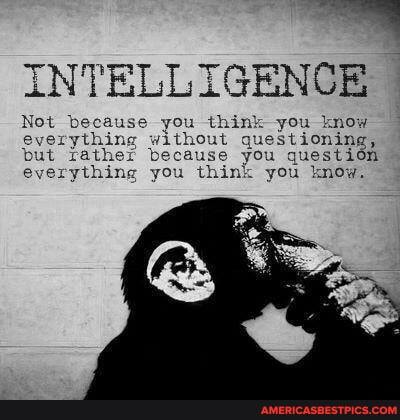 INTELLIGENCE
Not because you think you know everything without questioning, but rather everything because you thin question everything you thin