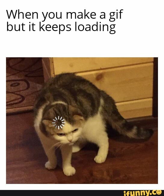 When you make a gif but it keeps loading - iFunny