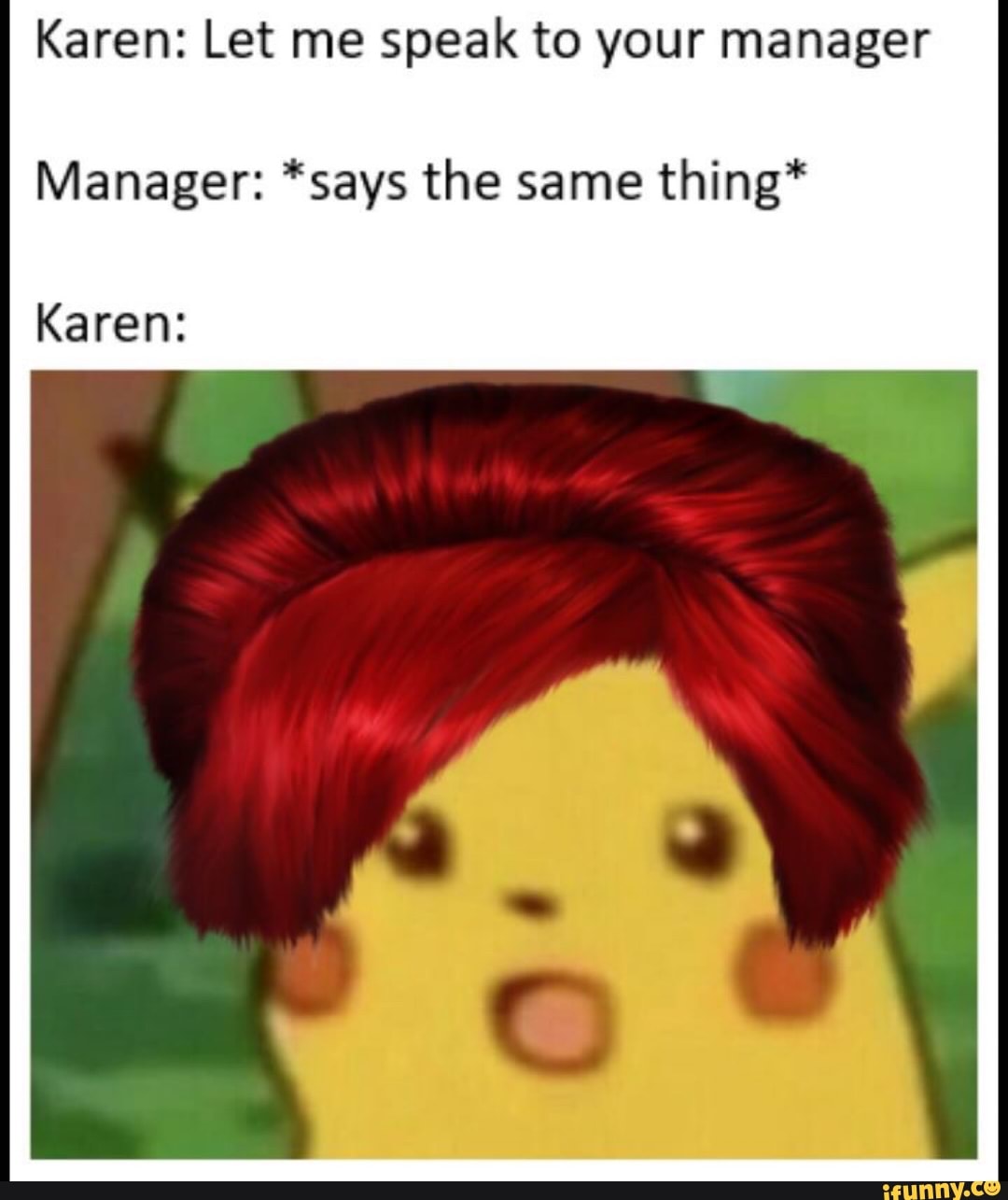 Karen: Let me speak to your manager Manager: *says the same thing ...