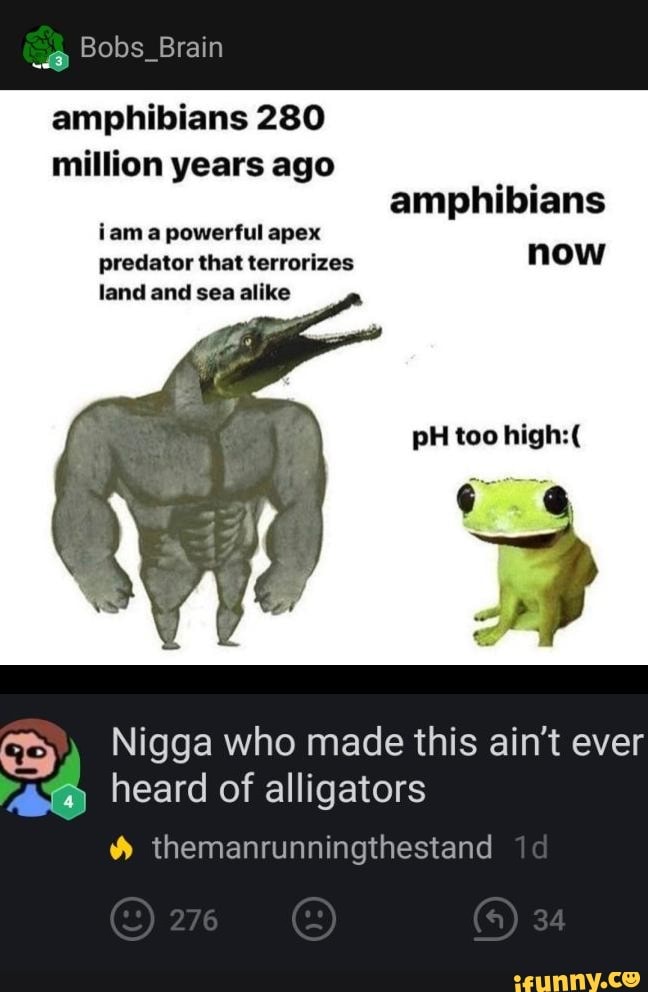 amphibians 280
million years ago
amphibians
iam a powerful apex
predator that terrorizes
now
land and sea alike
PH too high:(
Nigga who made this ain't ever
asa heard of alligators themanrunningthestand