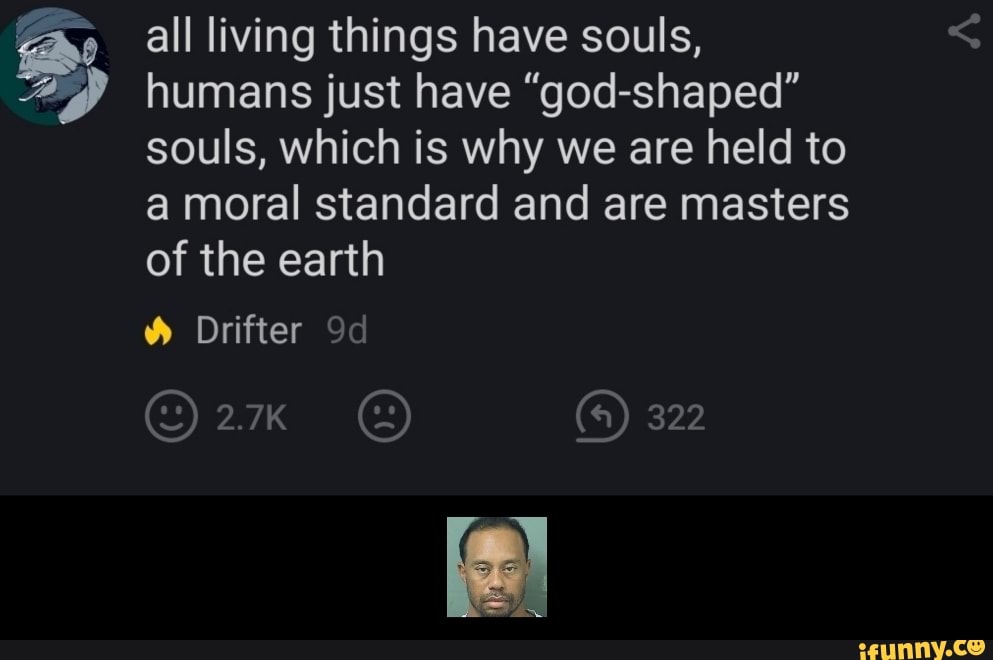 All living things have souls, humans just have "godshaped" souls