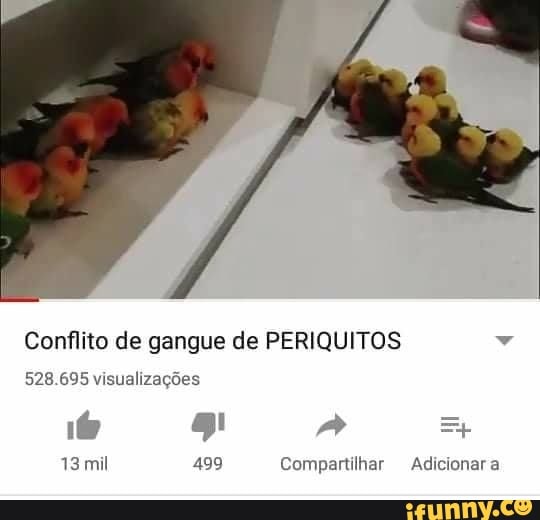 Conflito de gangue de PERIQUITOS v
528.695 visualizações