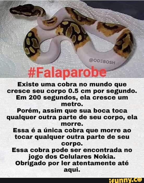 #Falaparobe
Existe uma cobra no mundo que
cresce seu corpo 0.5 cm por segundo.
Em 200 segundos, ela cresce um
metro.
Porém, assim que sua boca toca
qualquer outra parte de seu corpo, ela
morre.
Essa é a unica cobra que morre ao
tocar qualquer outra parte de seu
corpo.
Essa cobra pode ser encontrada no
jogo dos Celulares Nokia.
Obrigado por ler atentamente até
aqui.