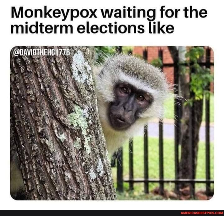 Monkeypox memes. Best Collection of funny Monkeypox pictures on America's  best pics and videos