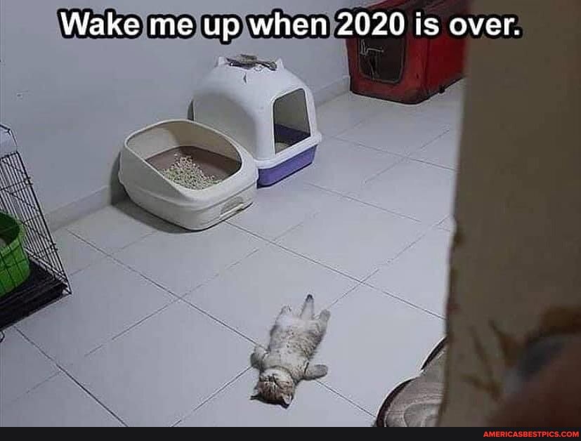 Wake me up when 2020 is over.