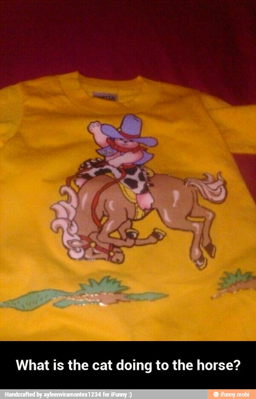 What is the cat doing to the horse? - What is the cat doing to the horse?