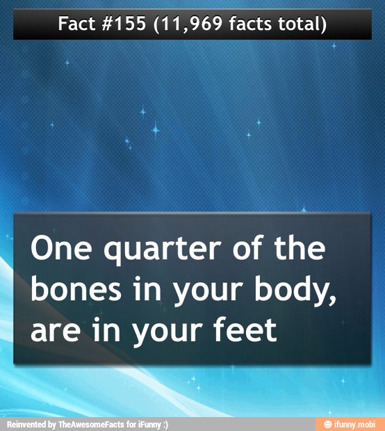 Fact
#155 (11,969 facts total) One quarter of the
bones in your body,
are in your feet