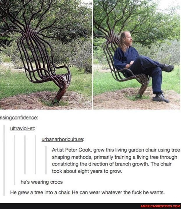 lgconfidence:
ultraviol-et urbanarboriculture:
Artist Peter Cook, grew this living garden chair using tree shaping methods, primarily training a living tree through constricting the direction of branch growth. The chair took about eight years to grow.
he's wearing crocs
He grew a tree into a chair. He can wear whatever the fuck he wants.