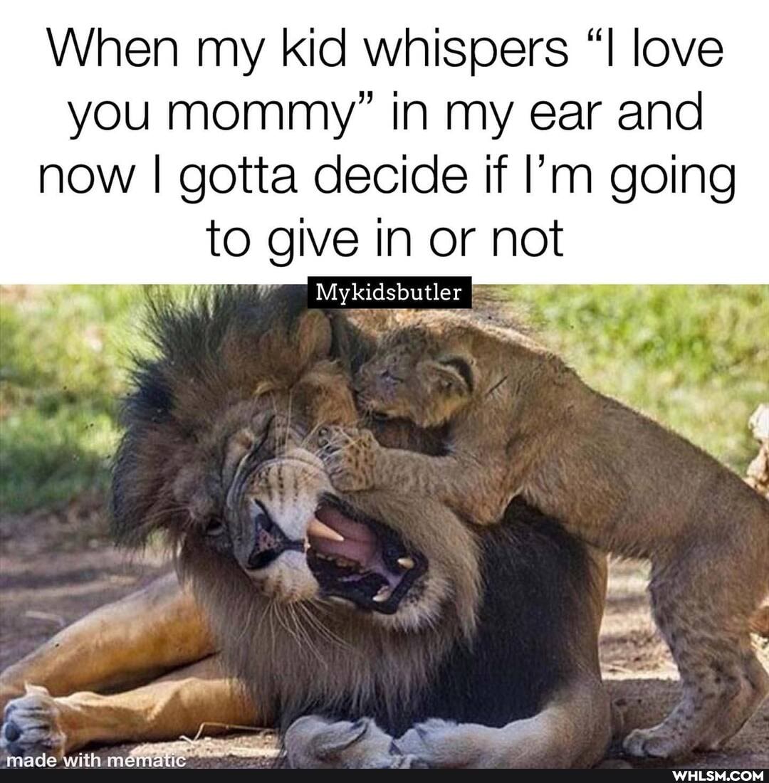 When my kid whispers "I love you mommy" in my ear and now I gotta decide if I'm going to give in or not