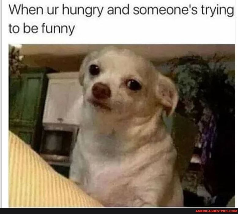 When ur hungry and someone's trying to be funny