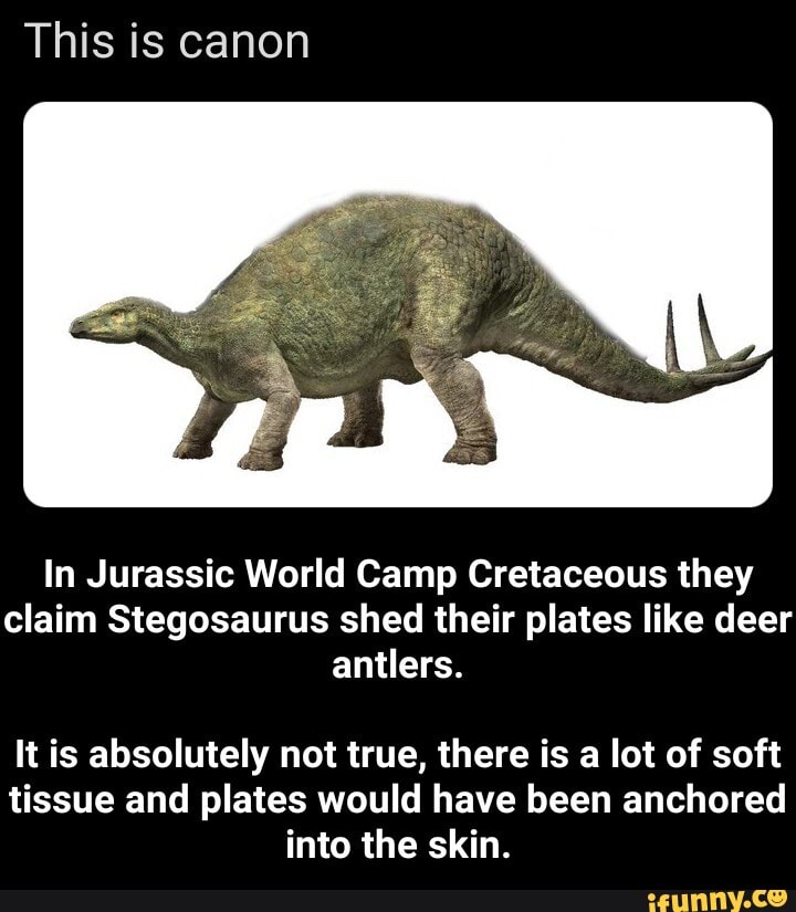 This is canon In Jurassic World Camp Cretaceous they claim Stegosaurus ...