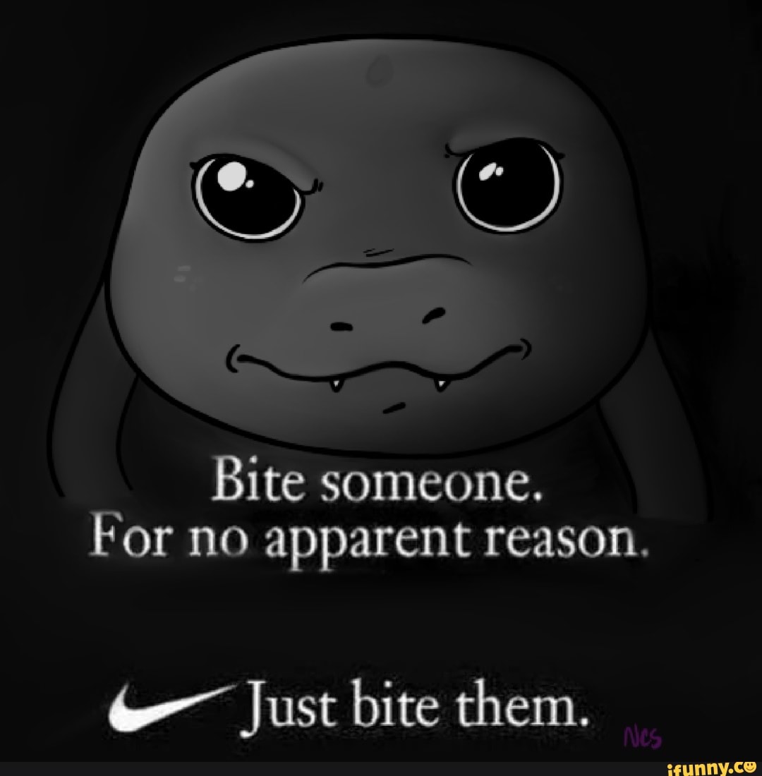 bite-someone-for-no-apparent-reason-just-bite-them-ifunny