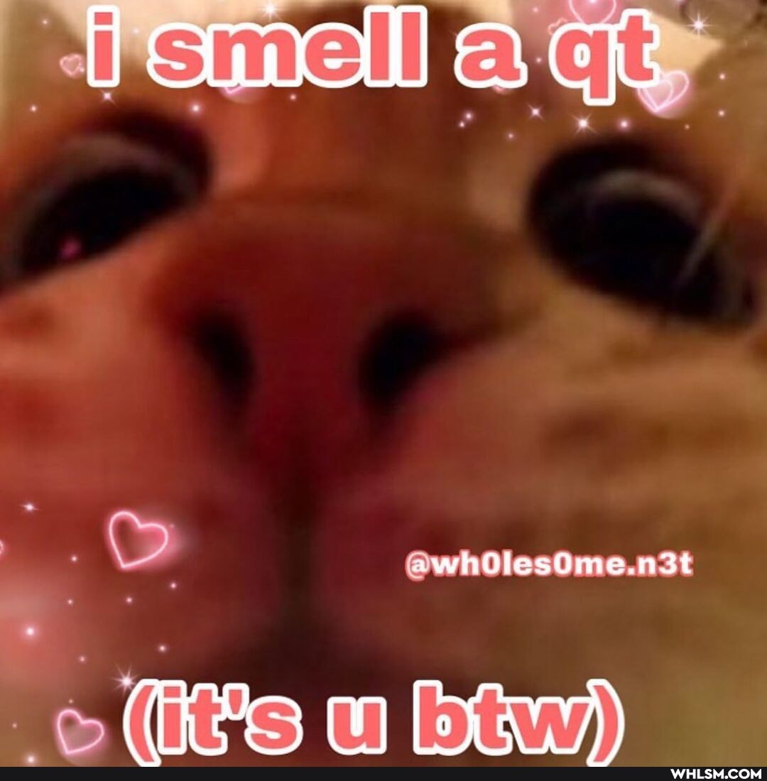 oo (Hs la))