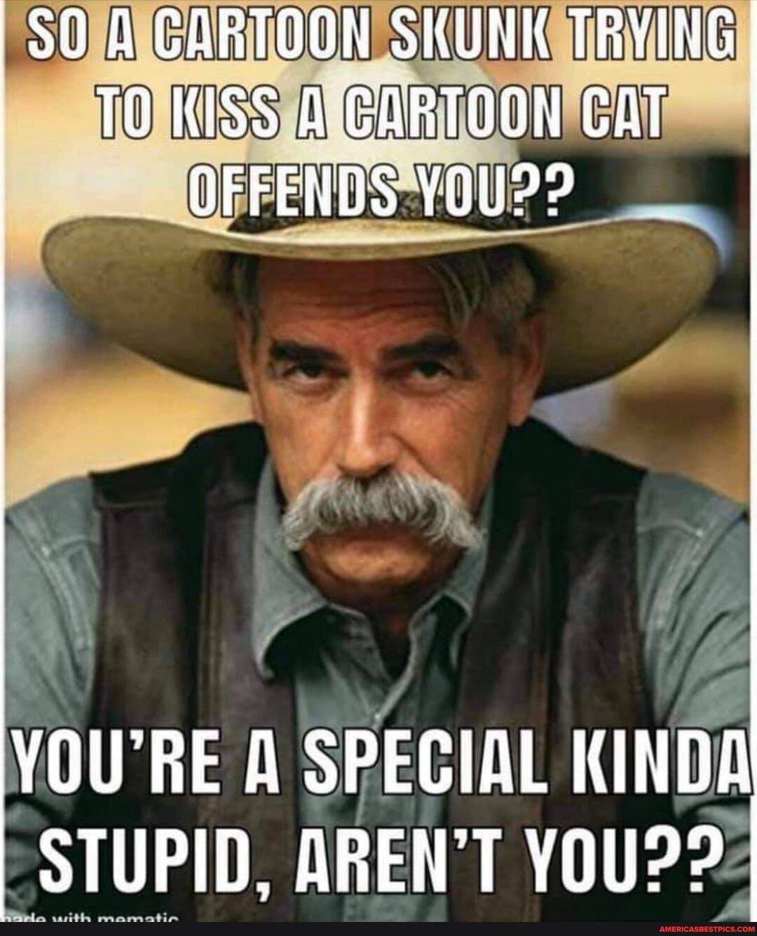 A CARTOON SKUNK TRYING TO KISS CARTOON CAT OFFENOS YOU?
YOU'RE A SPEGIAL KINDA STUPID, AREN'T YOU??