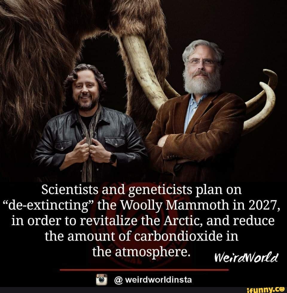 Scientists And Geneticists Plan On De Extincting The Woolly Mammoth   C56edd4ef56a826f855c2a9a6ddef3fe88377088e4a7ad5c09e989a14fcc3804 1 