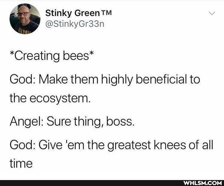 " Stinky
@StinkyGr33n
*Creating bees*
God: Make them highly beneficial to the ecosystem.
Angel: Sure thing, boss.
God: Give 'em the greatest knees of all time