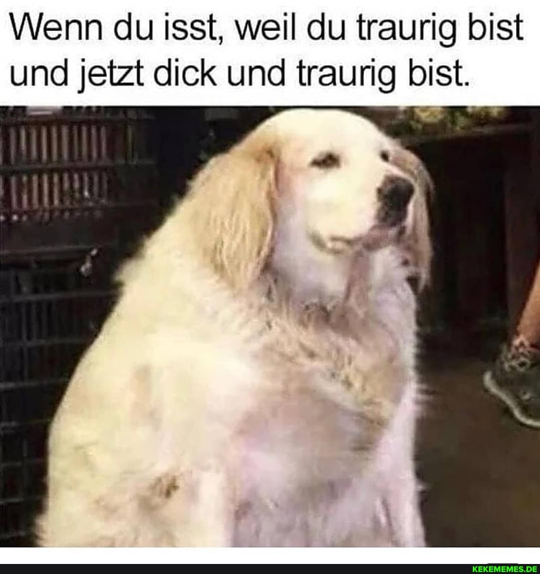 Wenn du isst, weil du traurig bist und jetzt dick und traurig bist.