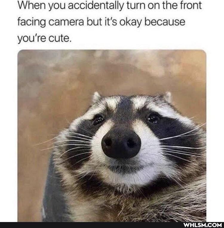 When you accidentally turn on the front facing camera but it's okay because you're cute.