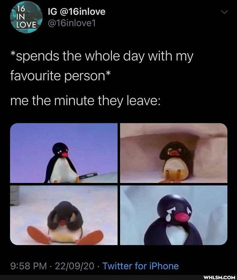 IG @16inlove
WOVE' @16inlovel
*spends the whole day with my favourite person*
me the minute they leave:
PM - - Twitter for iPhone