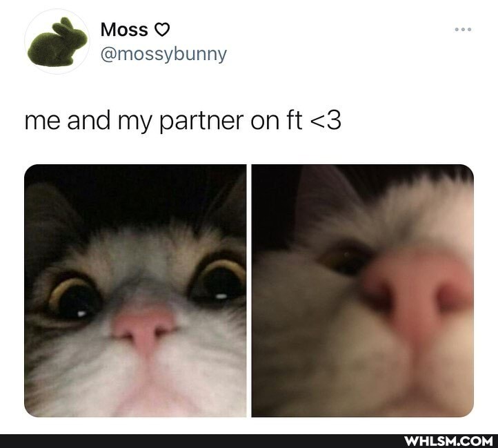 me and my partner on ft <3