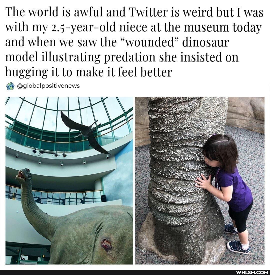 The world is awful and Twitter is weird but I was with my 2.5-year-old niece at the museum today and when we saw the "wounded" dinosaur model illustrating predation she insisted on hugging it to make it feel better
@globalpositivenews