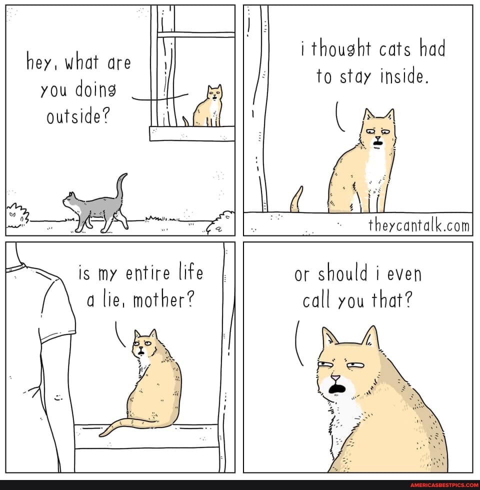 hey, what are you doing __II outside?
af
i thought cats had to stay inside.
is my entire life a lie, mother?
or should i even call you that?