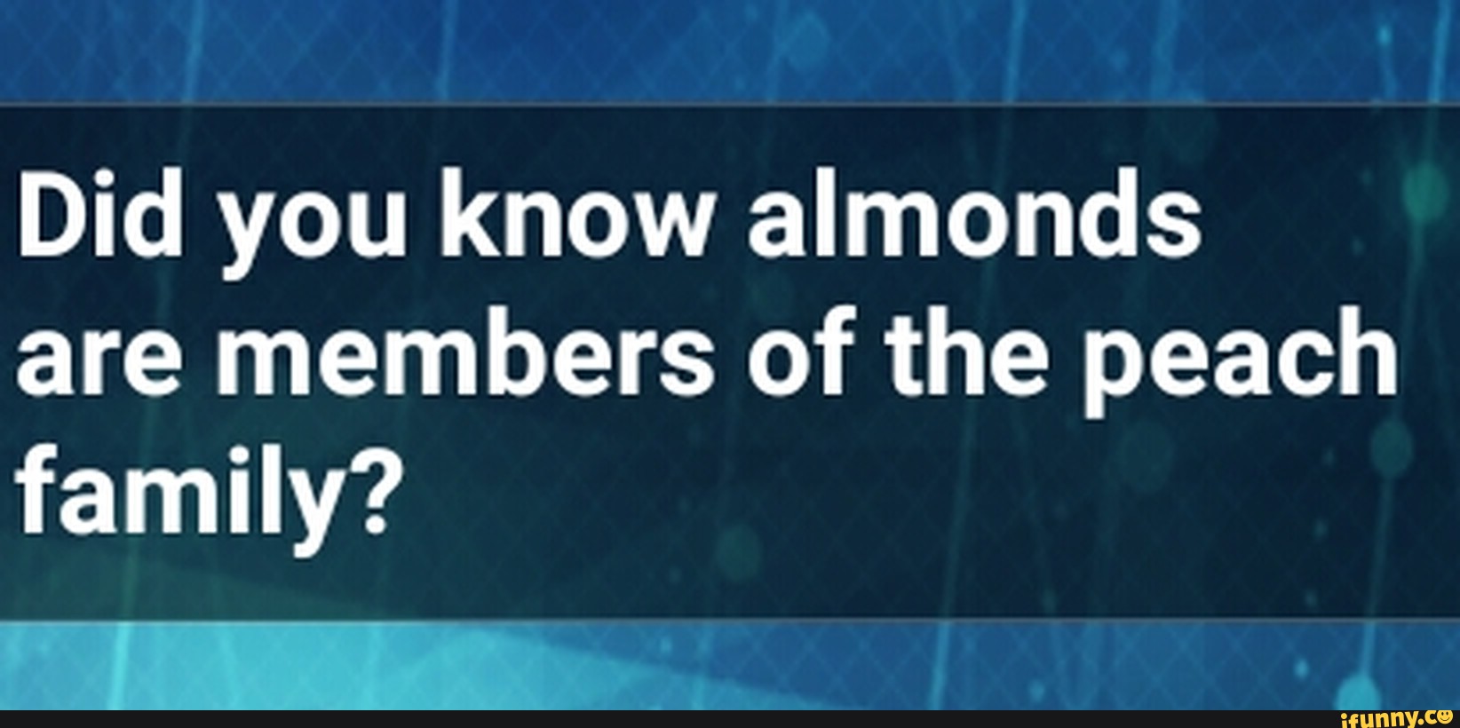 Did you know almonds are members of the peach family? )