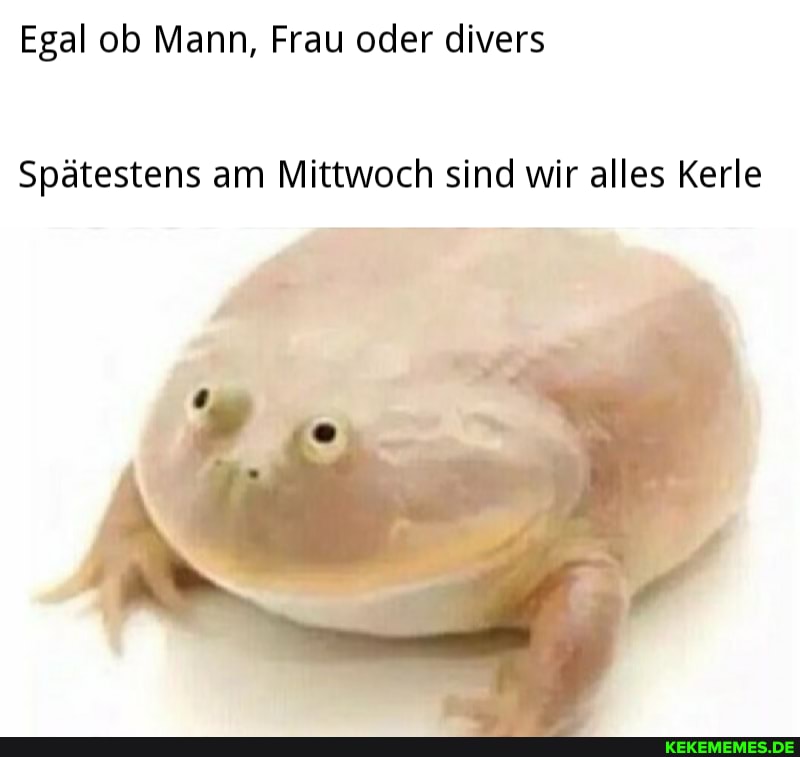 Egal ob Mann, Frau oder divers
Spätestens am Mittwoch sind wir alles Kerle
