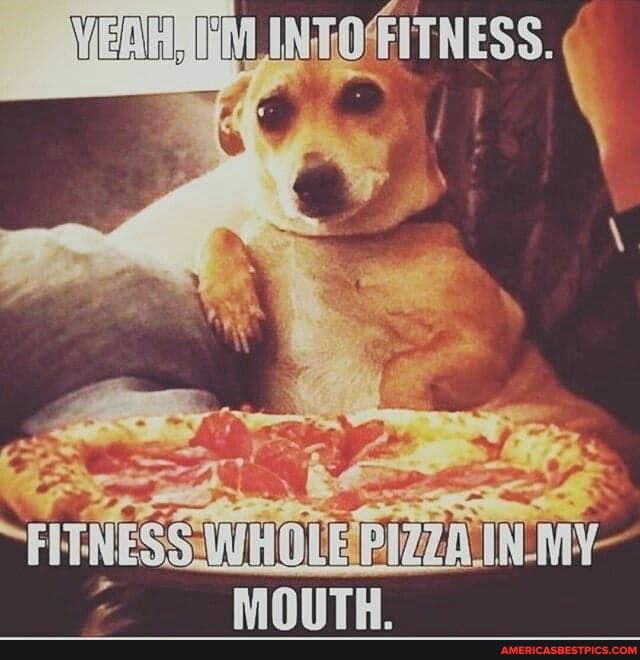FITNESS.
~FHe EPRTAIN IN- My
MOUTH.