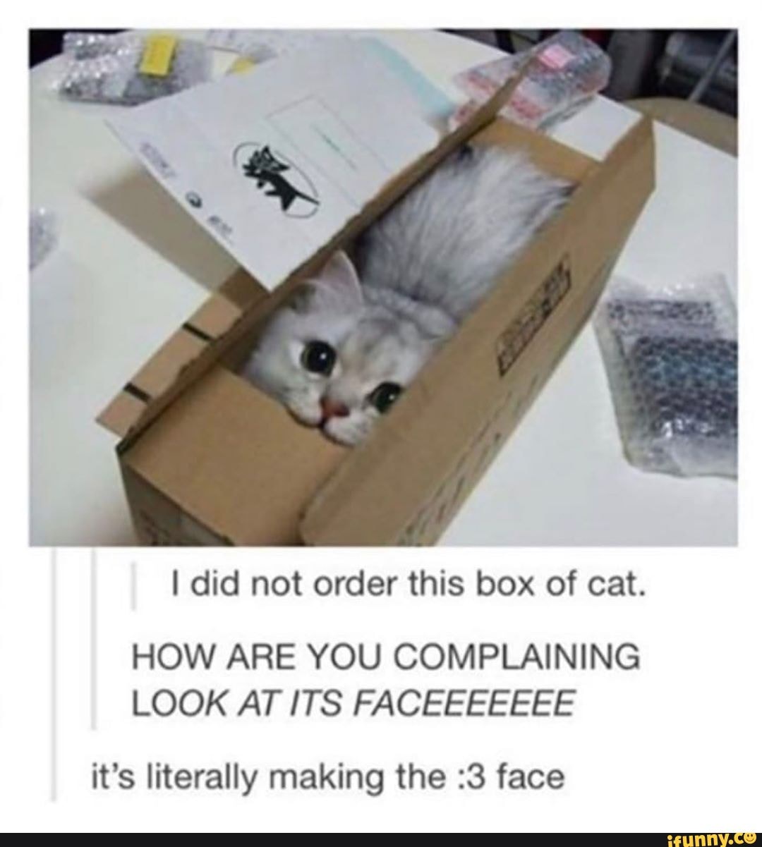 I did not order this box of cat.
HOW ARE YOU COMPLAINING LOOK AT ITS FACEEEEEEE
it's literally making the :3 face