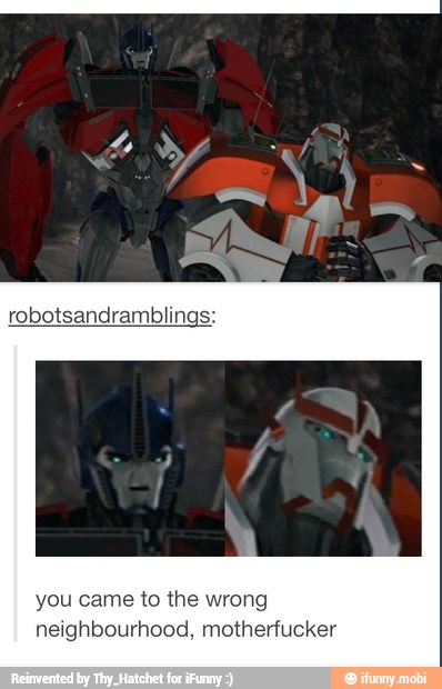 you came to the wrong
neighbourhood, motherfucker