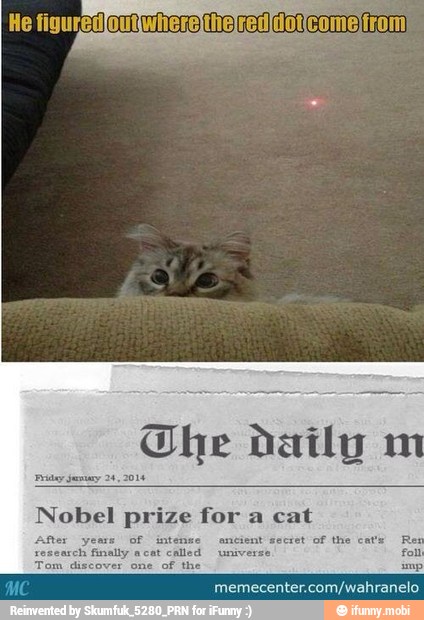 Nobel prize for a cat
memecenter.com/wahranelo