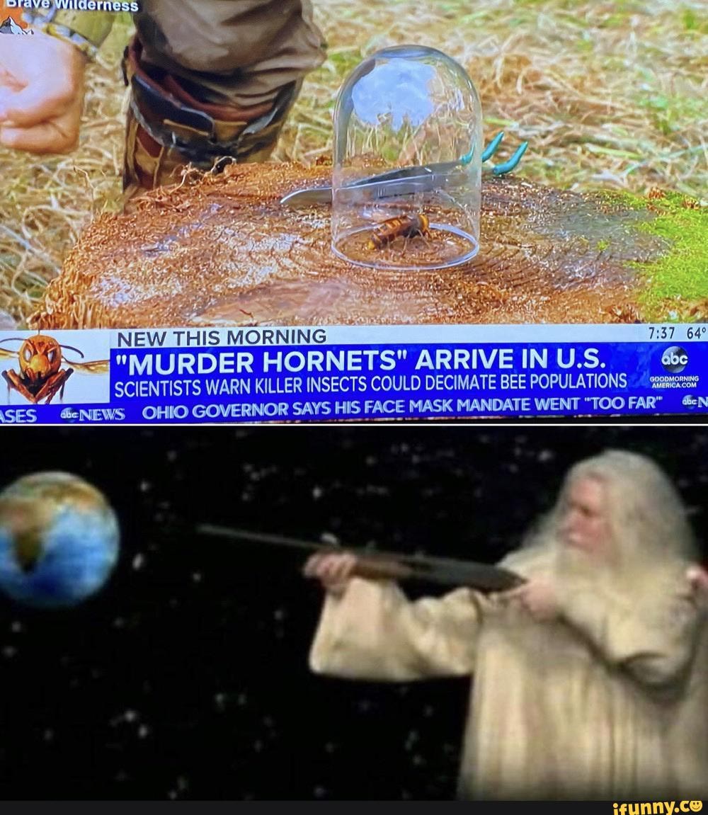 "MURDER HORNETS" ARRIVE IN U.S- &c
SCIENTISTS WARN KILLER INSECTS COULD DECIMATE BEE POPULATIONS
&=NEWS _OHIO GOVERNOR SAYS HIS FACE MASK MANDATE WENT "TOO FAR_