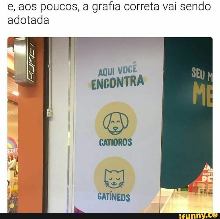 e, aos poucos, a grafia correta vai sendo
adotada
qui
VOCÊ
ENCONTRA
GATÍNEOS
