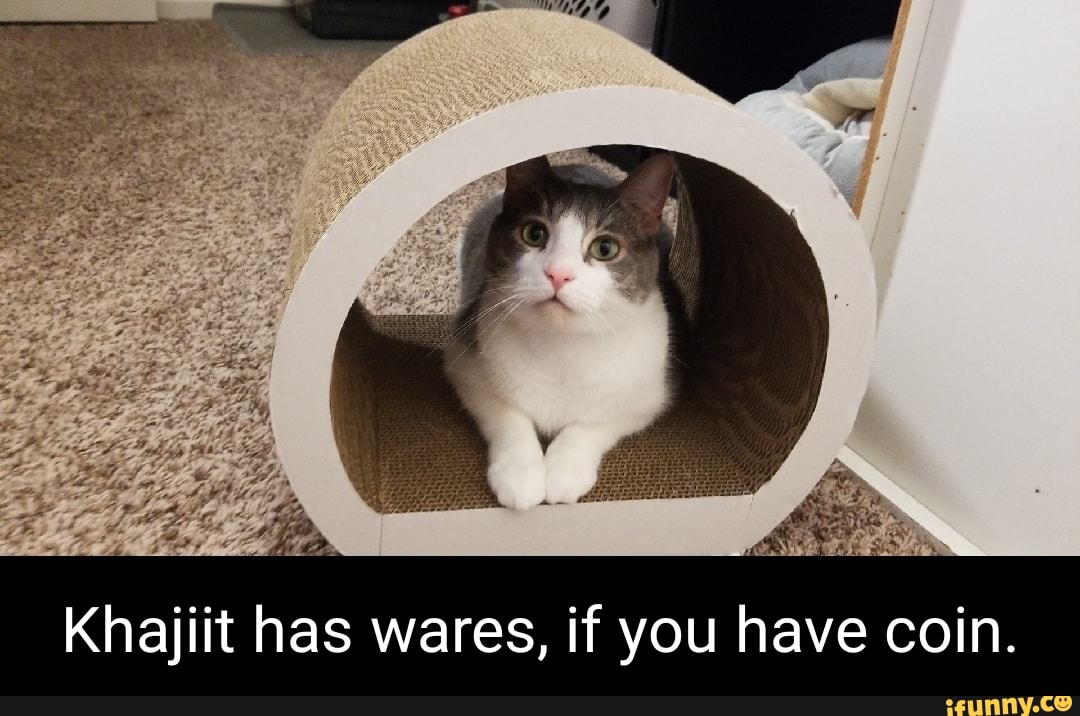 Catsofskyrim memes. Best Collection of funny Catsofskyrim pictures on
