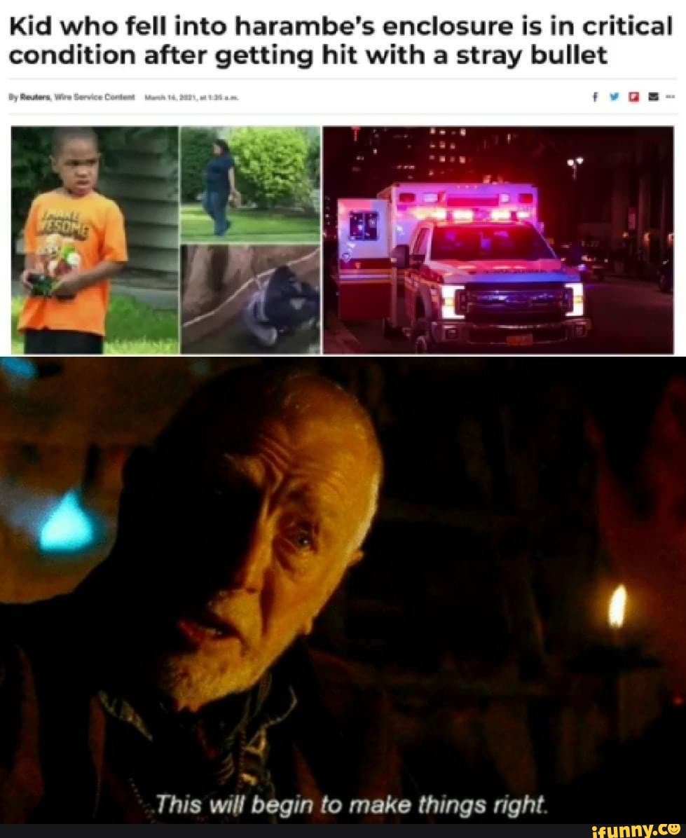 Kid Who Fell Into Harambe Enclosure Is In Critical Condition Kid who fell into harambe's enclosure is in critical condition after